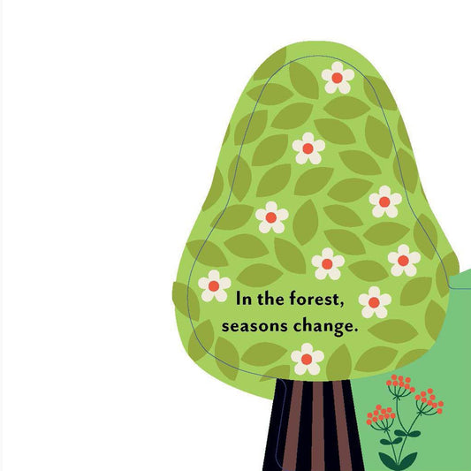 A Forest's Seasons Board Book