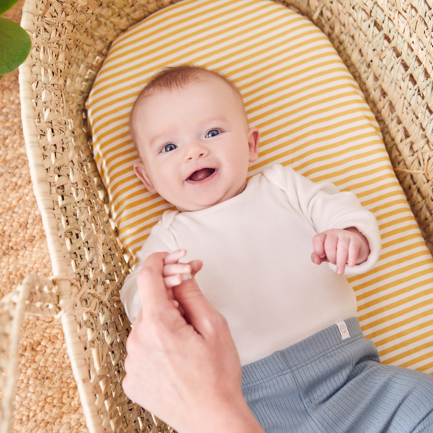 Printed Moses Basket Fitted Sheet