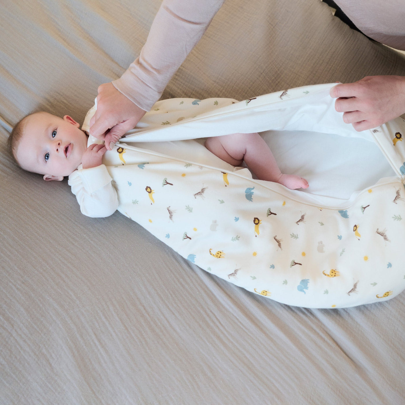 flatlay_roundel_signature_fabric