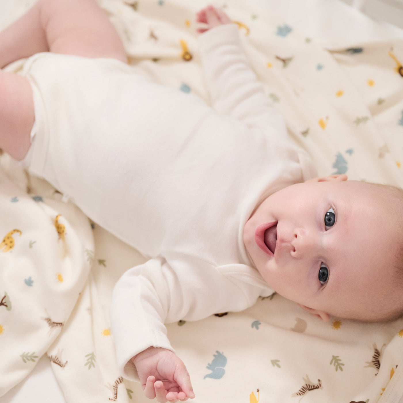 Safari Signature Baby Blanket