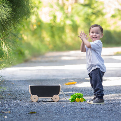 PlanToys Wagon