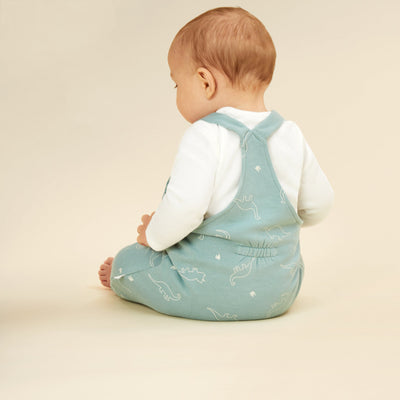 Dino Dungarees & Plain Bodysuit Outfit