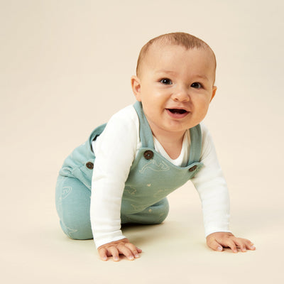 flatlay_roundel_cotton_polyester