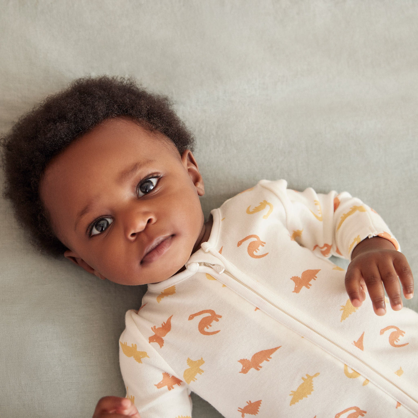 flatlay_roundel_signature_fabric