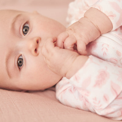 flatlay_roundel_signature_fabric