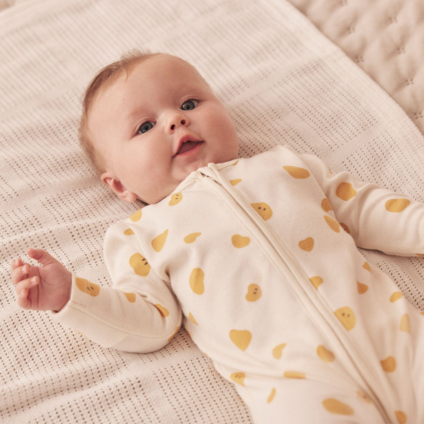 flatlay_roundel_signature_fabric