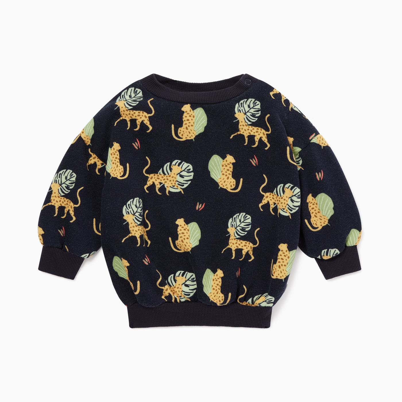 flatlay_roundel_organic