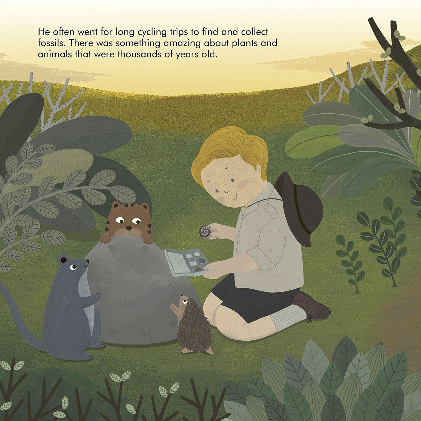 Little People Big Dreams: David Attenborough Book