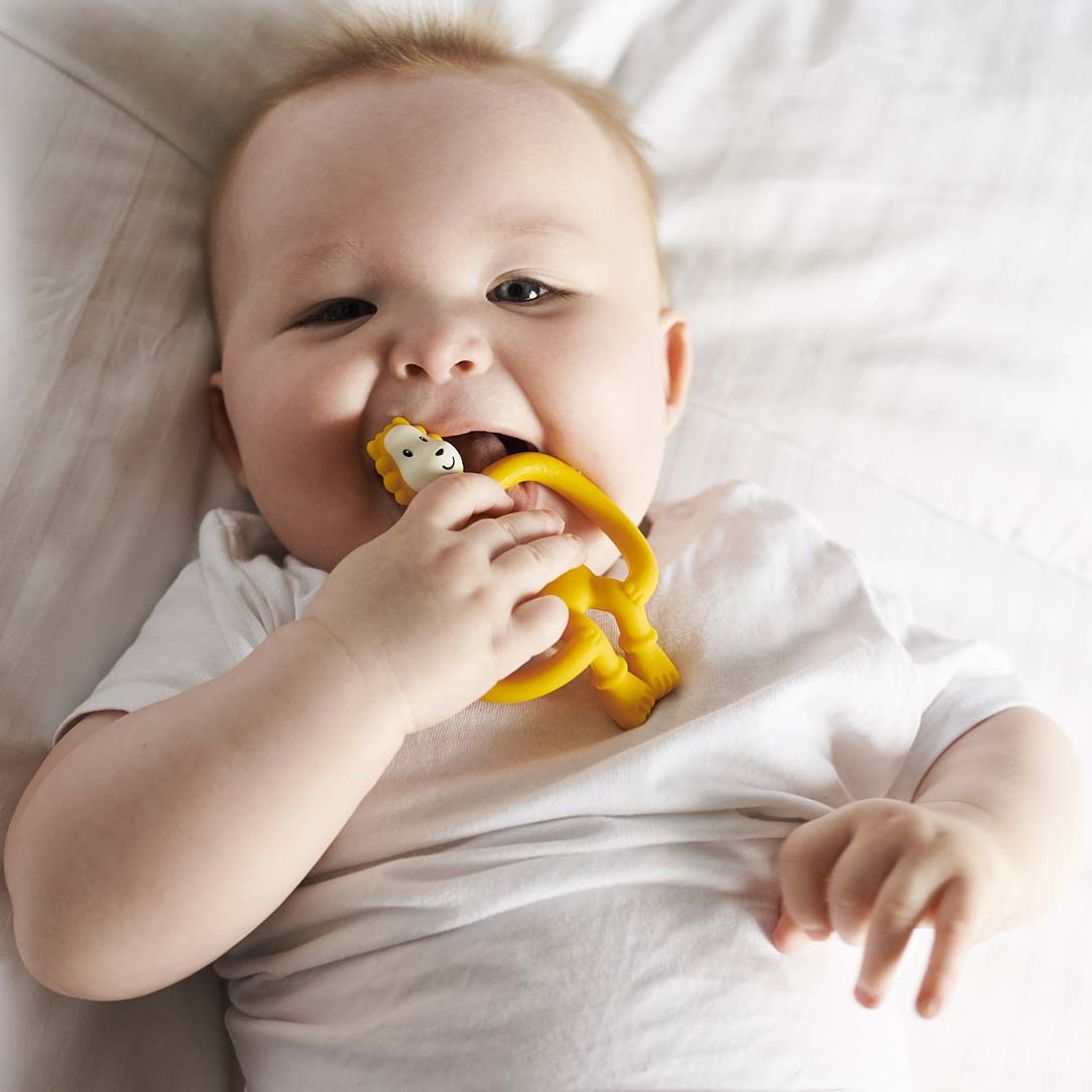 Matchstick Monkey Ludo Lion Teether
