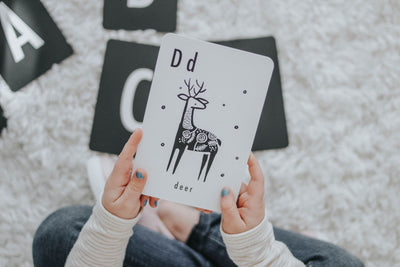 Wee Gallery Jungle Alphabet Cards