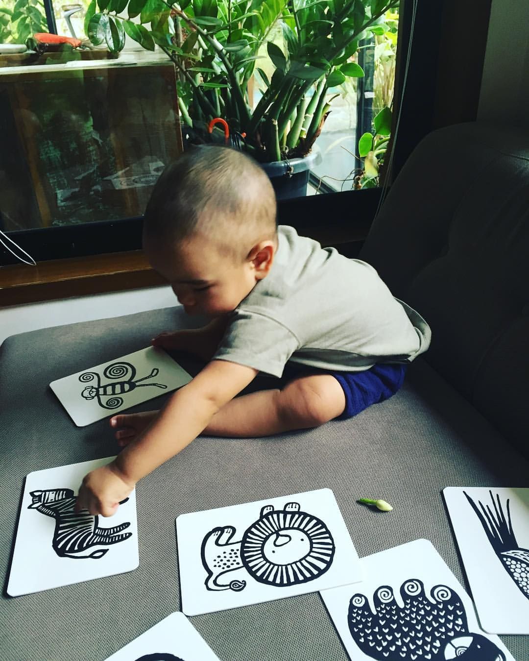 Wee Gallery Jungle Art Cards for Baby