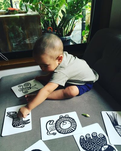 Wee Gallery Jungle Art Cards for Baby