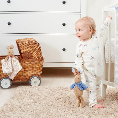 Peter Rabbit Soft Toy