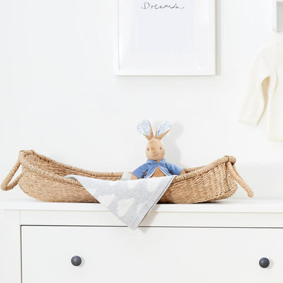 Peter Rabbit Soft Toy