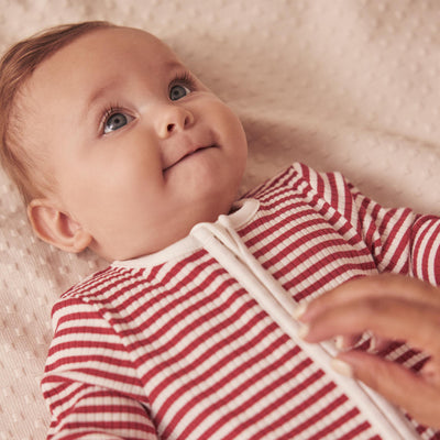 flatlay_roundel_organic