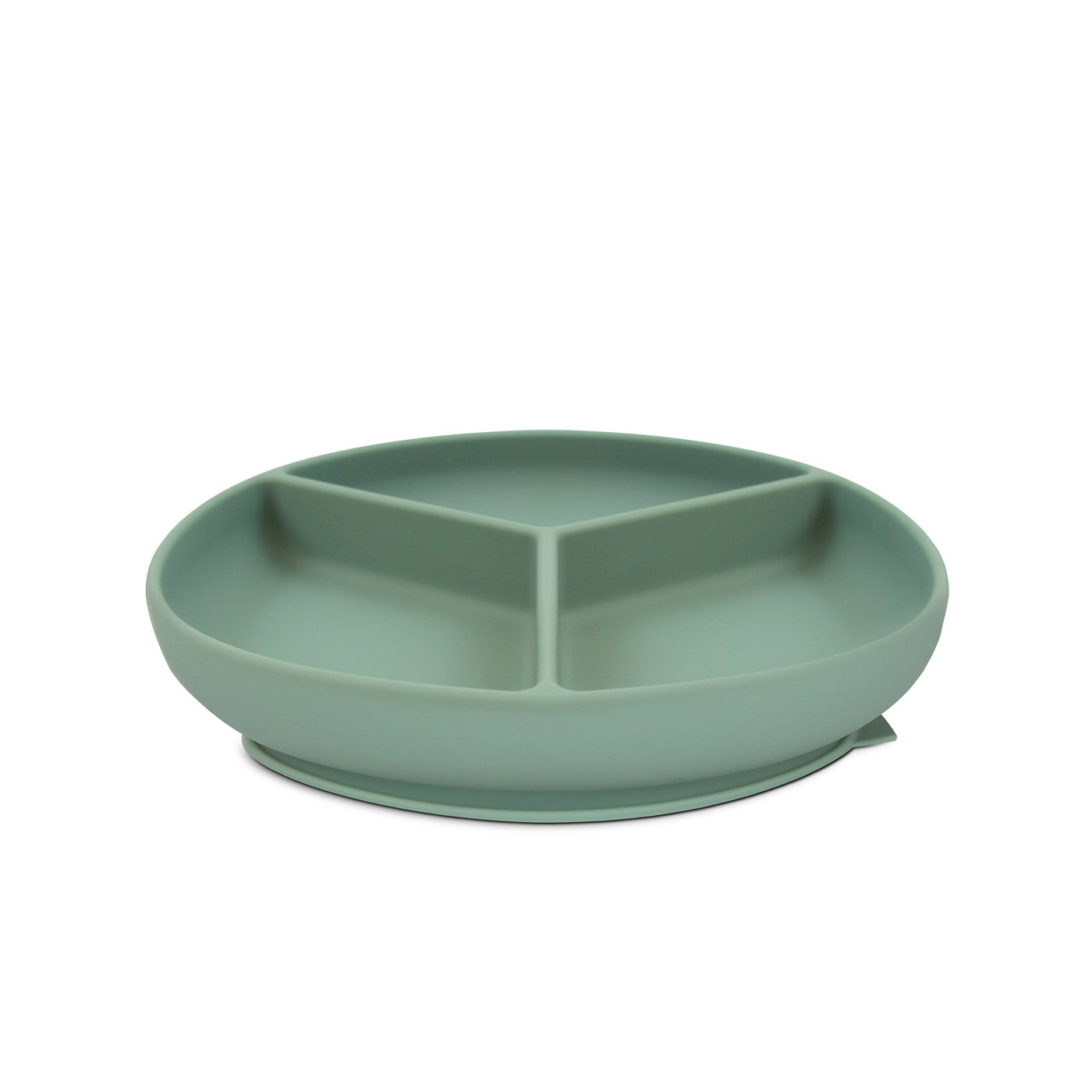 Pippeta Silicone Suction Section Plate