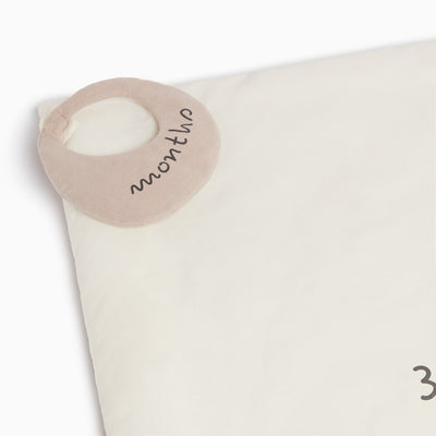 Sunshine Baby Milestone Blanket