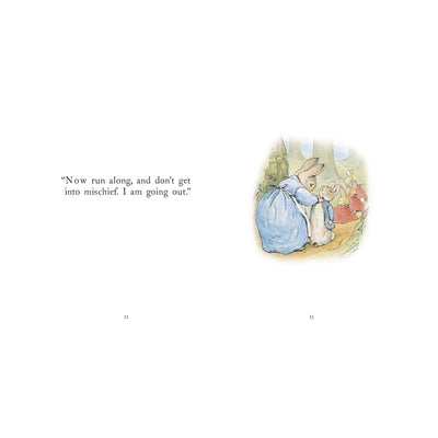 The Tale of Peter Rabbit Book
