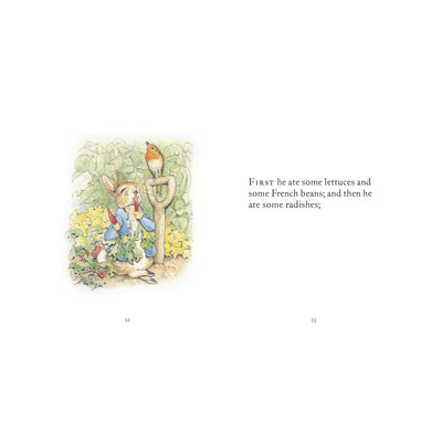 The Tale of Peter Rabbit Book