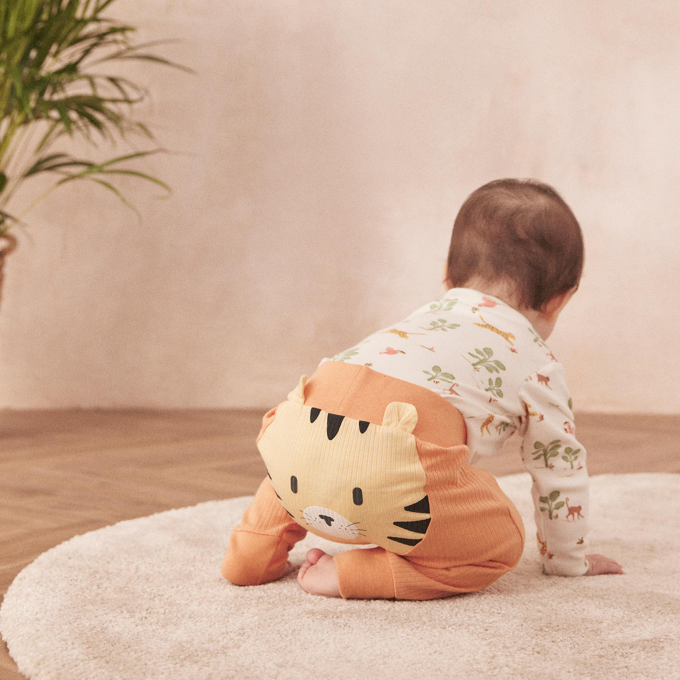 flatlay_roundel_signature_fabric