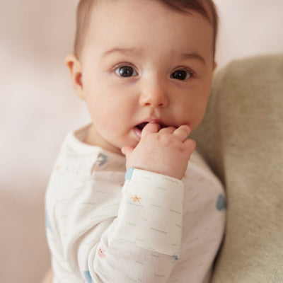 flatlay_roundel_signature_fabric