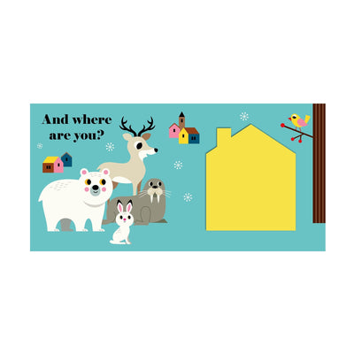 Where's Mr Polar Bear? Board Book