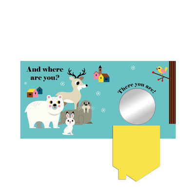 Where's Mr Polar Bear? Board Book