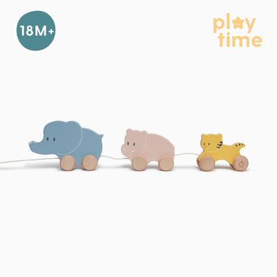Wooden Animal Pull Along Toy