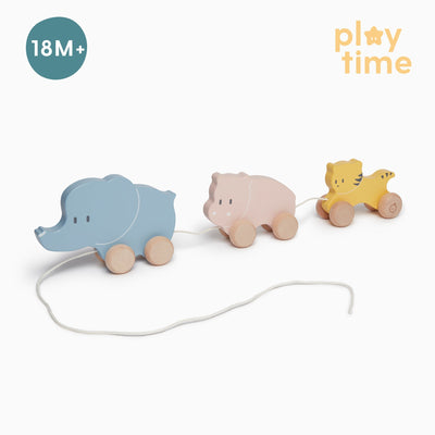 Wooden Animal Pull Along Toy