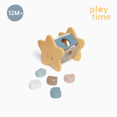 Wooden Star Shape Sorter