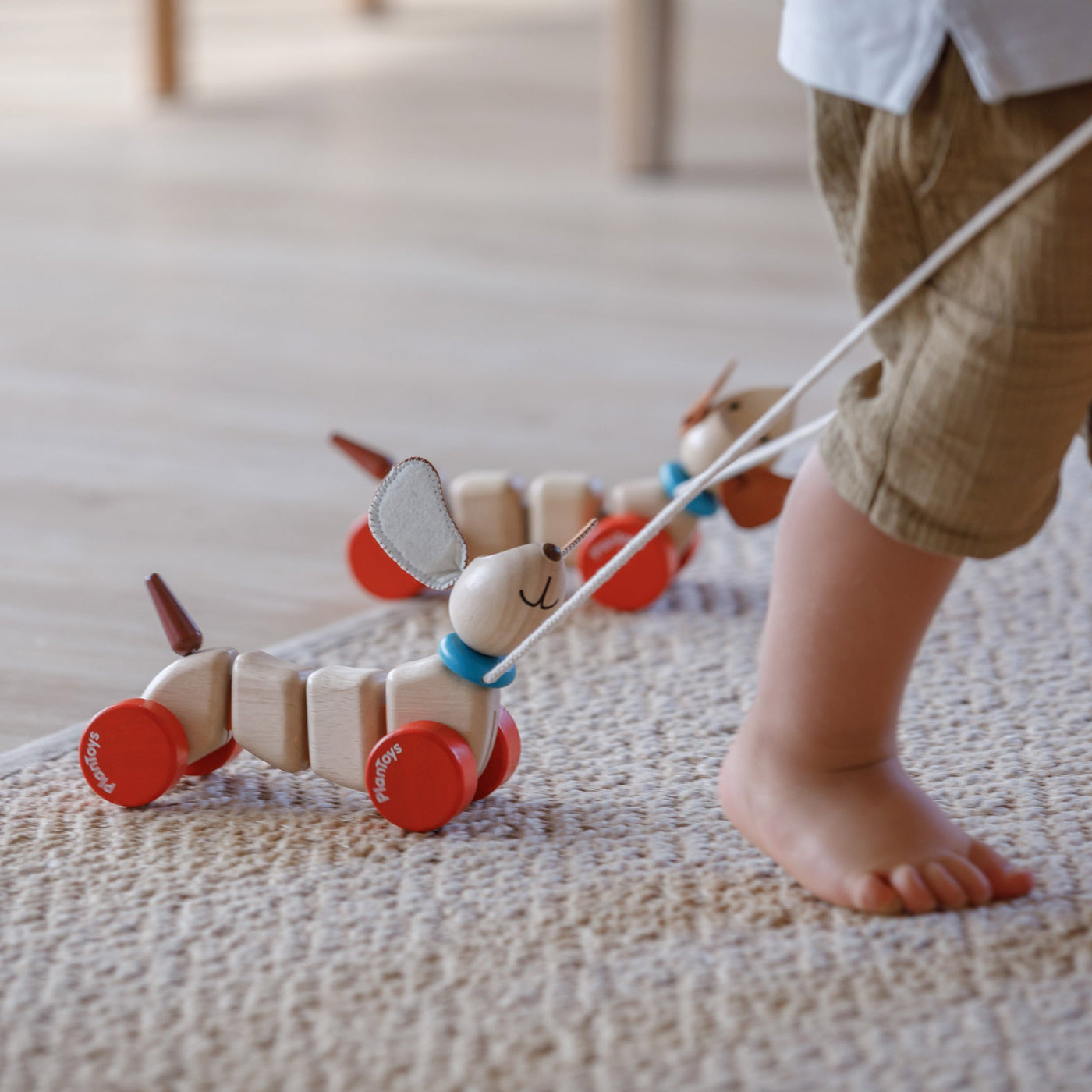 PlanToys Happy Puppy Toy