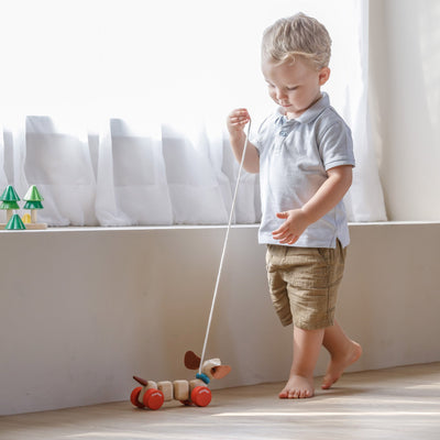 PlanToys Happy Puppy Toy