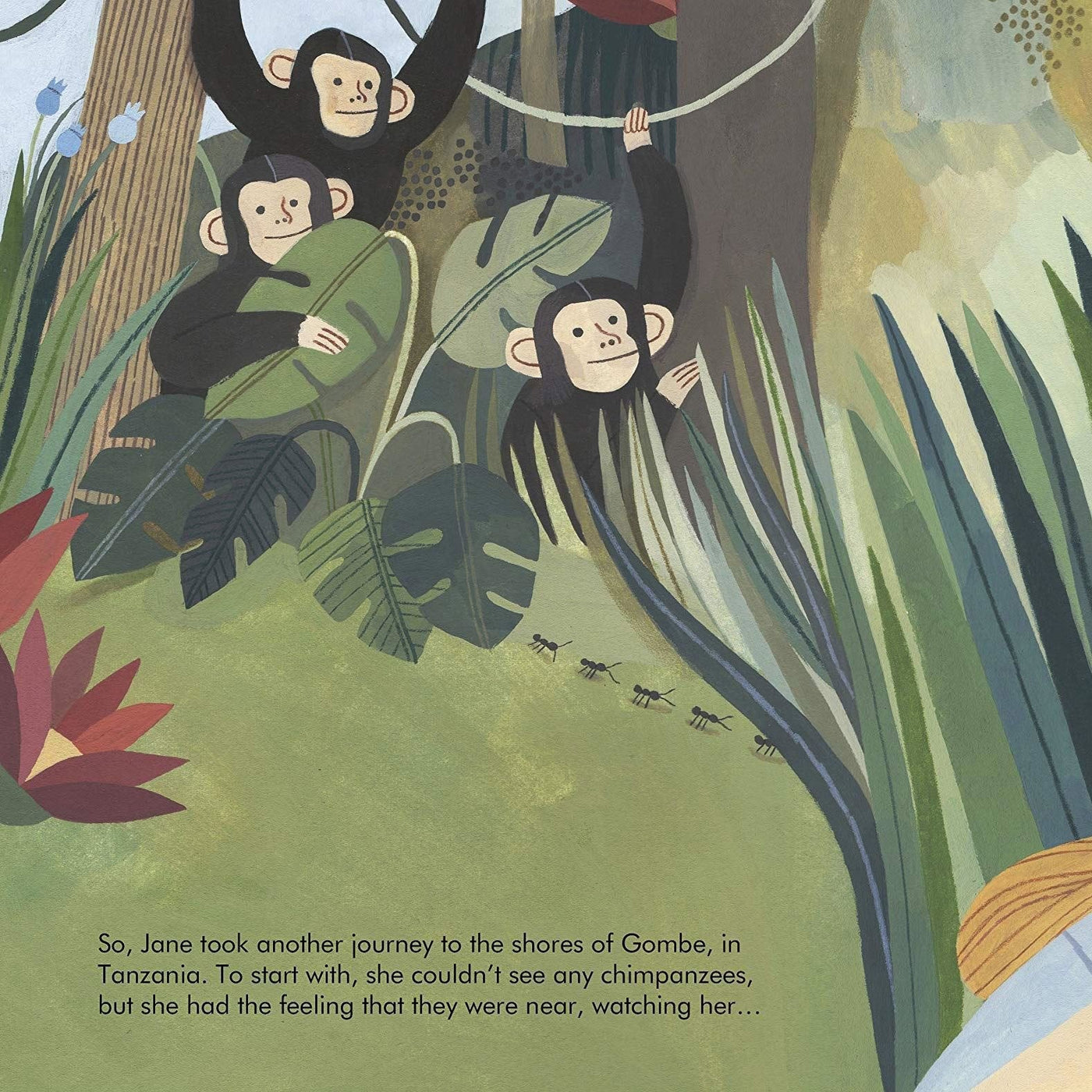 Little People Big Dreams: Earth Heroes Book Gift Set