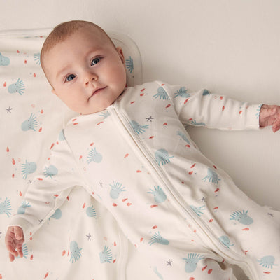 flatlay_roundel_signature_fabric         