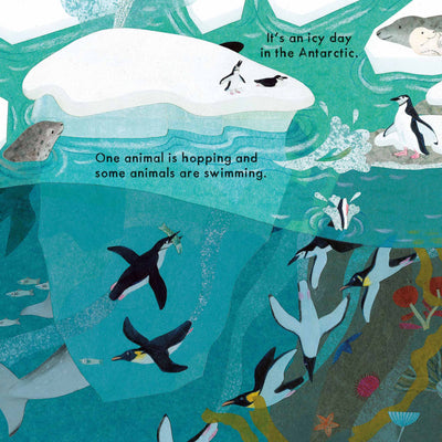 Who's Hiding in the Snow? Board Book